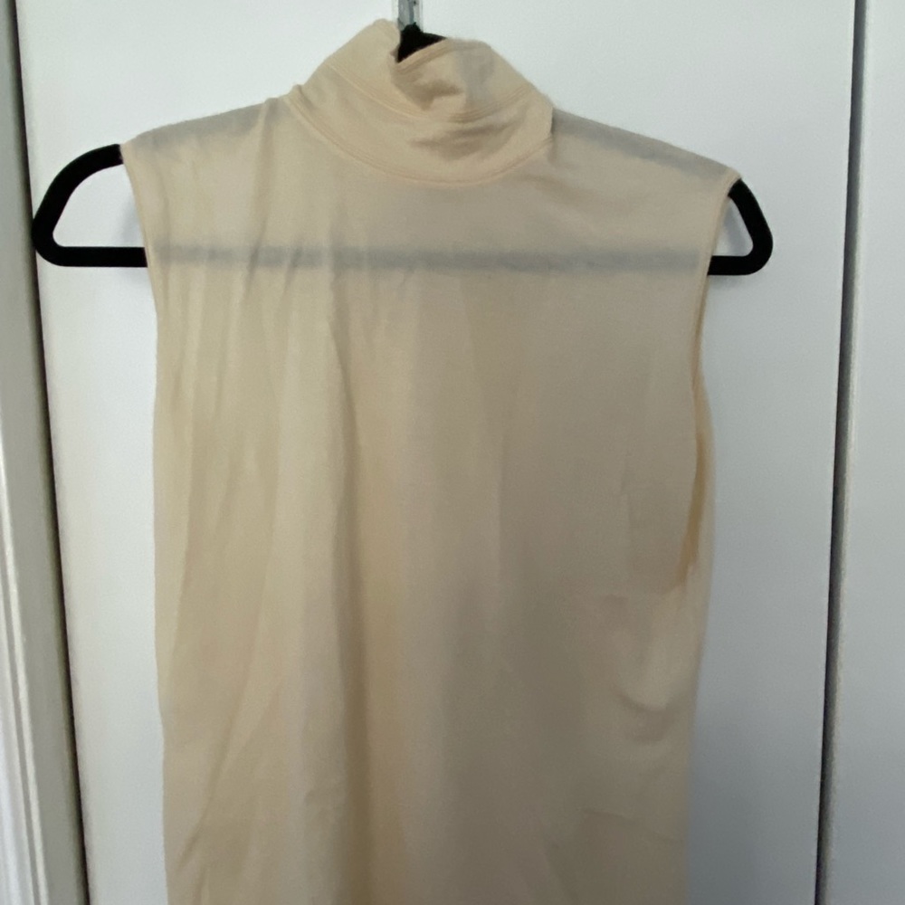 Sheer cream turtle neck blouse